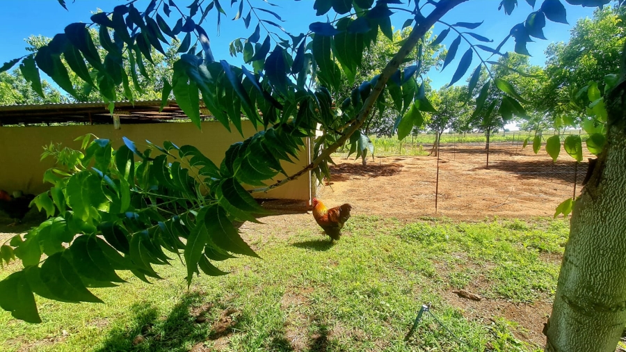 Commercial Property for Sale in Bainsvlei Free State